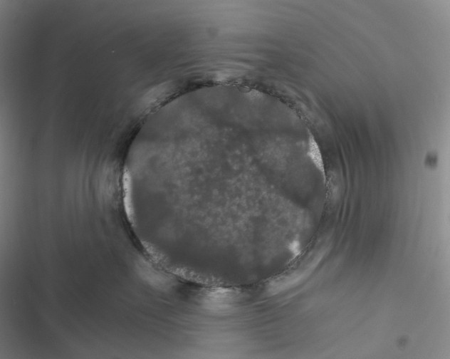 X0000116480527201001201345