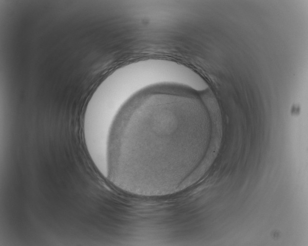 X0000116480528201001201345