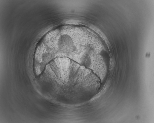 X0000116480529201001201344