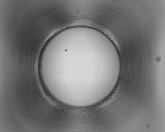 X0000116480530201001201344