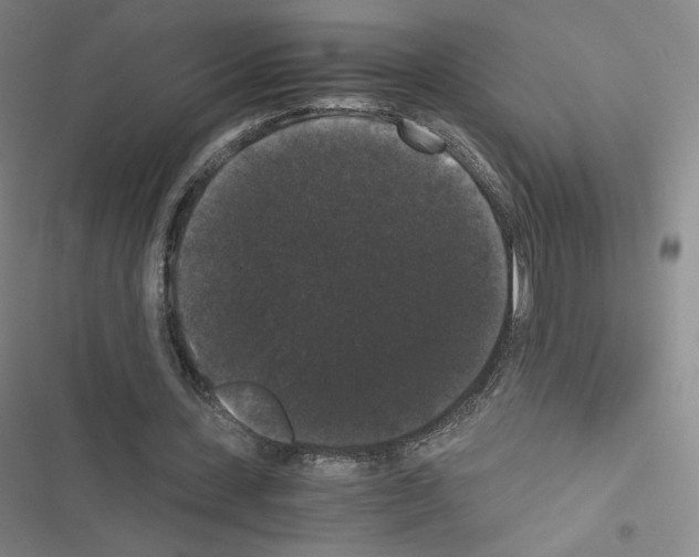 X0000116480531201001201344