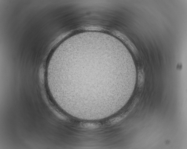 X0000116480533201001201344