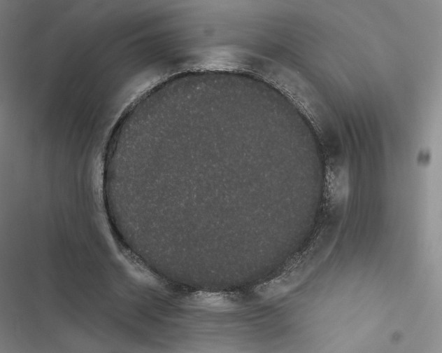 X0000116480534201001201344