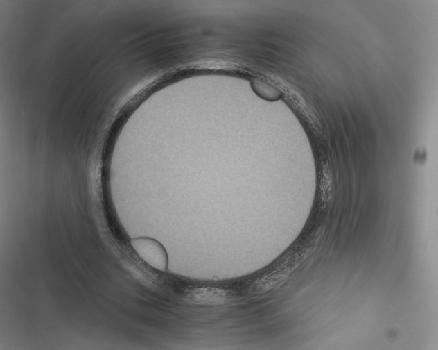 X0000116480535201001201344