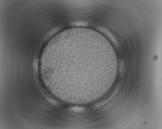X0000116480537201001201344