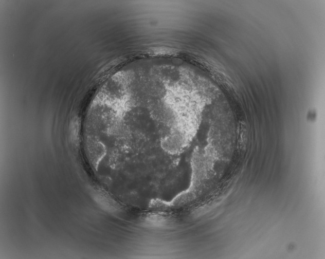 X0000116480550201001201344