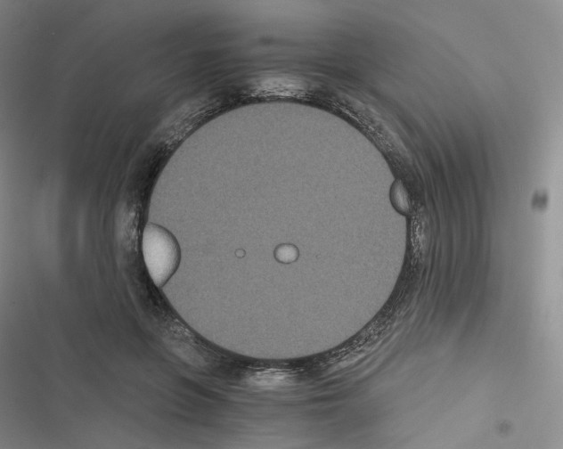 X0000116480551201001201344