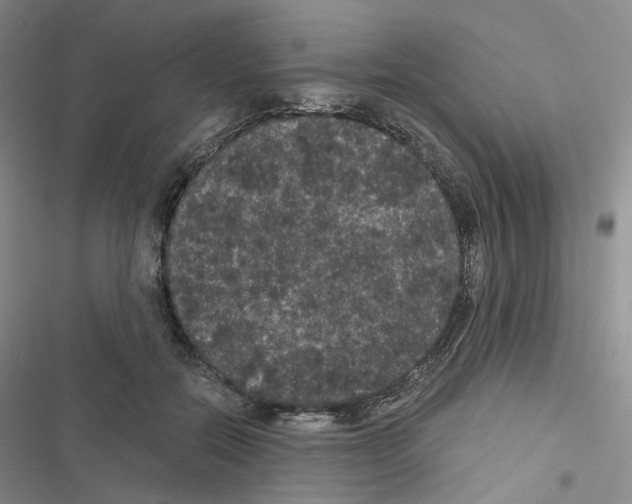 X0000116480554201001201344