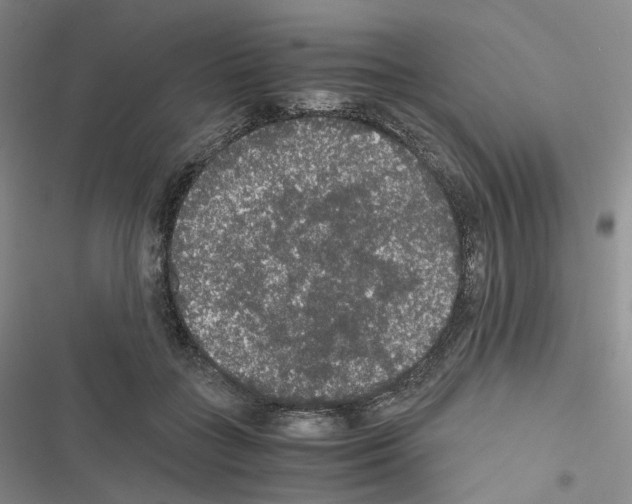 X0000116480555201001201344