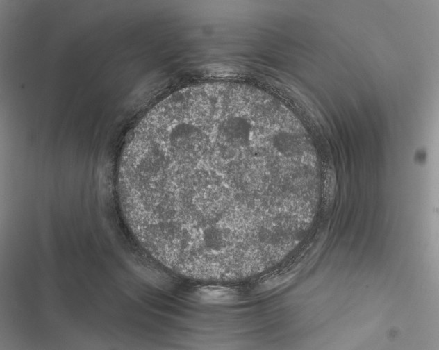 X0000116480557201001201344