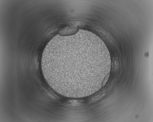 X0000116480558201001201344