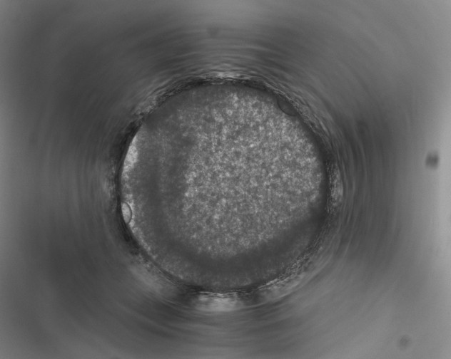 X0000116480559201001201344