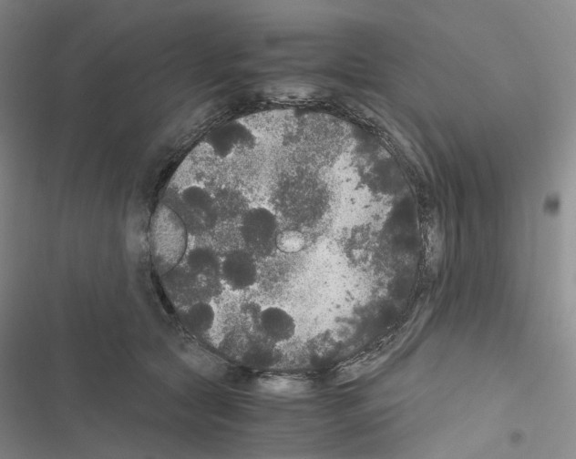 X0000116480561201001201344