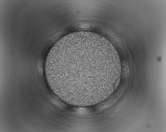 X0000116480562201001201345
