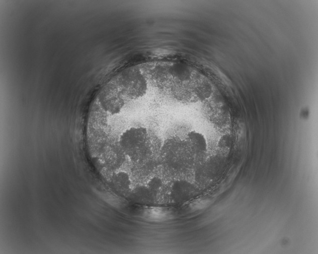 X0000116480565201001201345