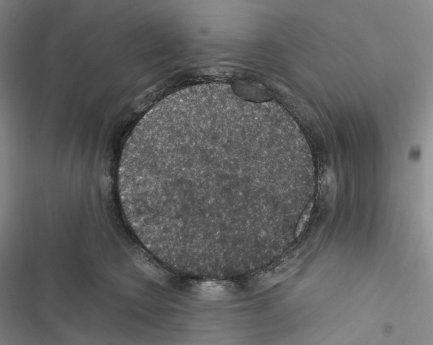 X0000116480566201001201345
