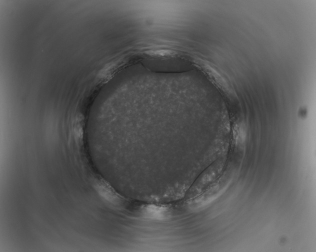 X0000116480570201001201345