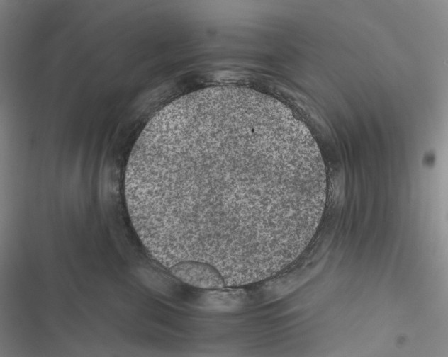 X0000116480571201001201345