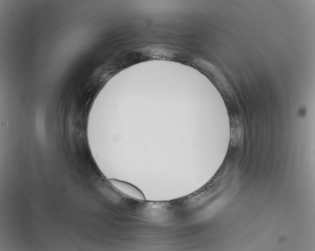 X0000116480573201001201345