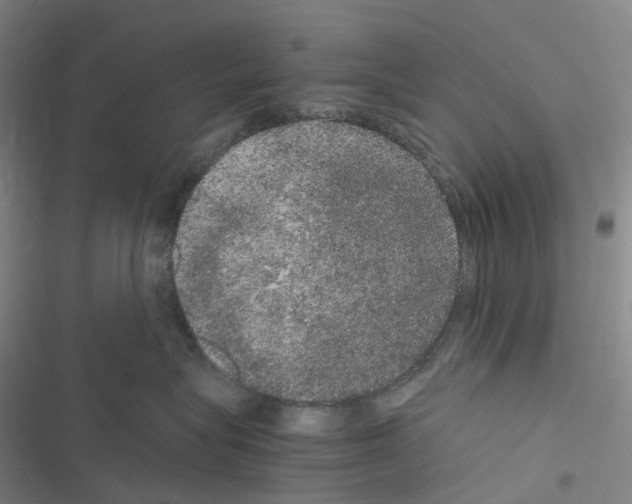 X0000116480575201001201345