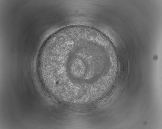 X0000116480579201001201344