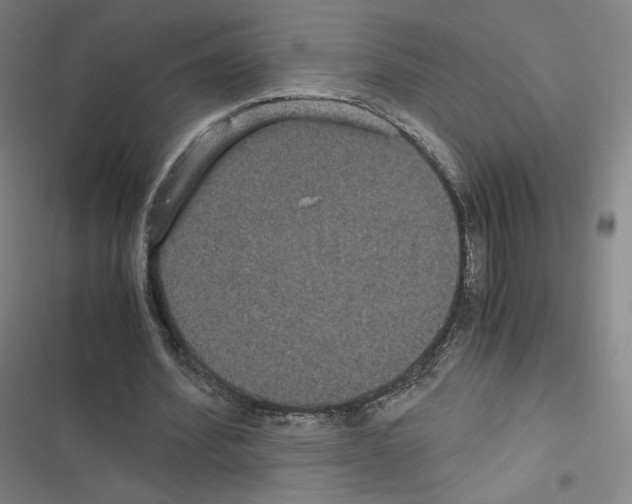 X0000116480580201001201344