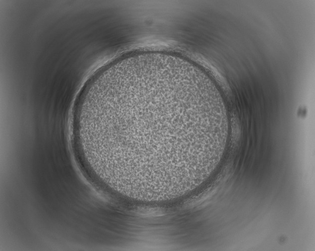 X0000116480582201001201344