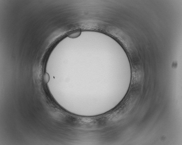 X0000116480583201001201344