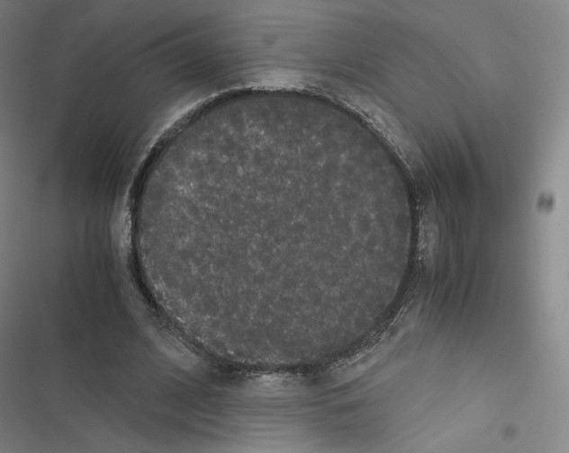 X0000116480584201001201344