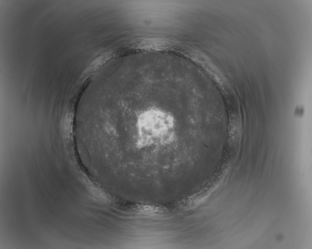 X0000116480585201001201344