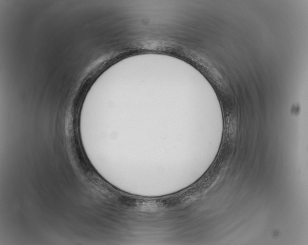 X0000116480587201001201344