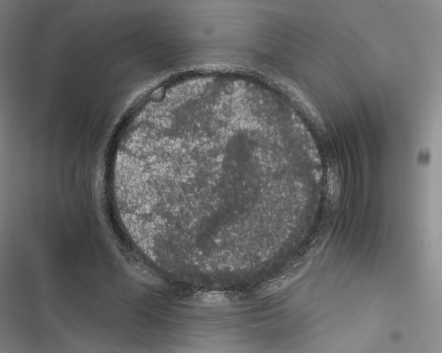 X0000116480588201001201344