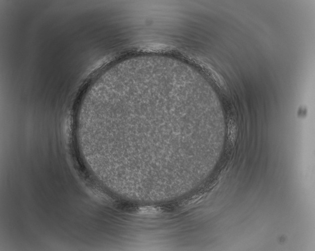 X0000116480591201001201344