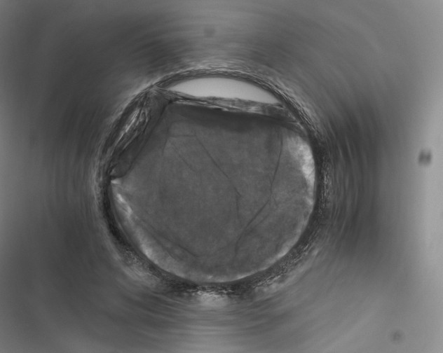 X0000116480592201001201344