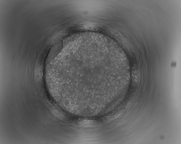 X0000116480593201001201344