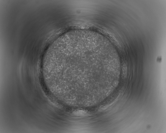 X0000116480594201001201344