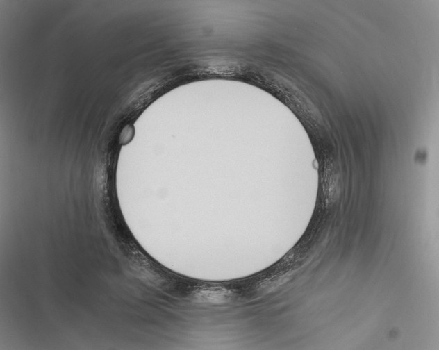 X0000116480595201001201344