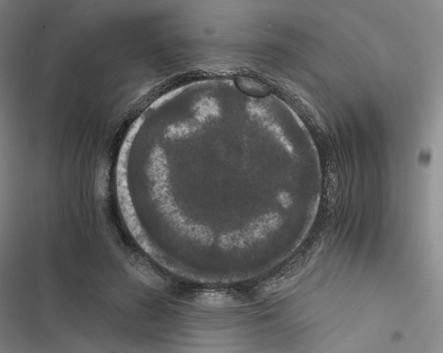 X0000116480596201001201344