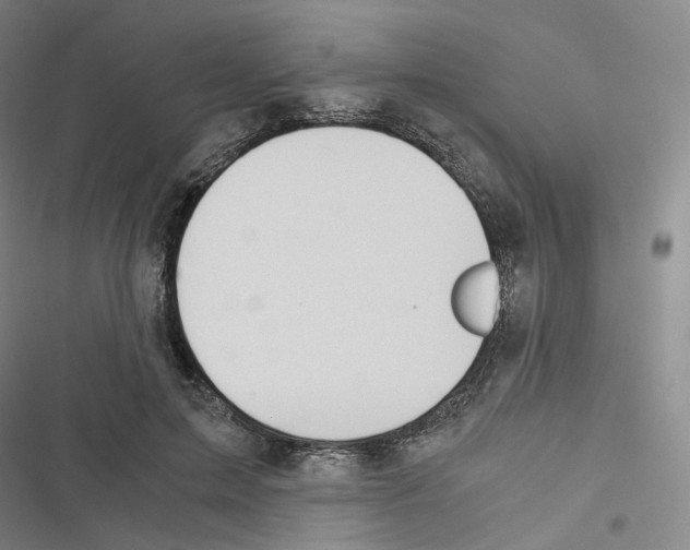 X0000116480599201001201344