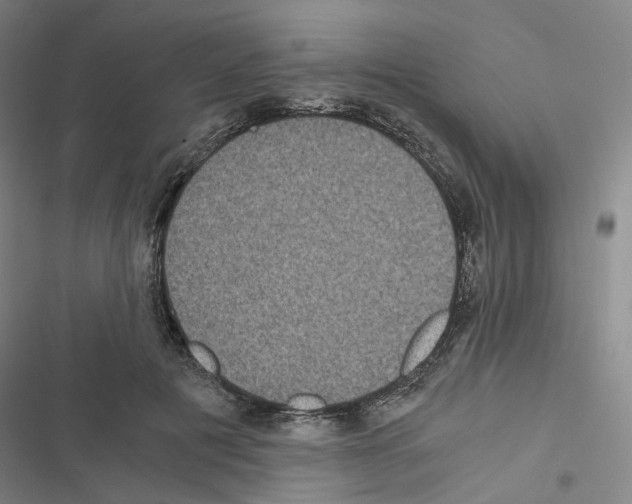 X0000116480601201001201344