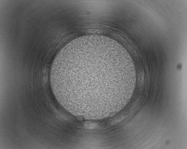 X0000116480602201001201344