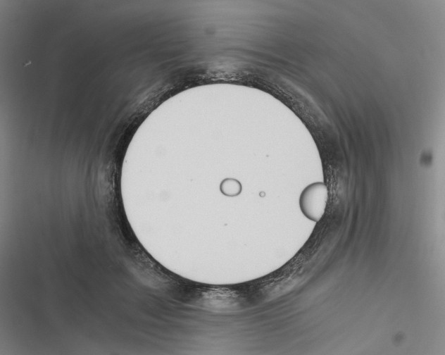 X0000116480603201001201344