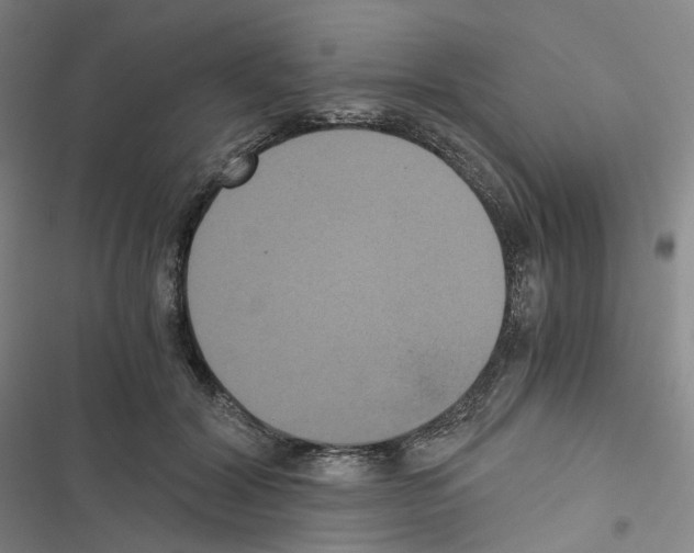 X0000116480604201001201344