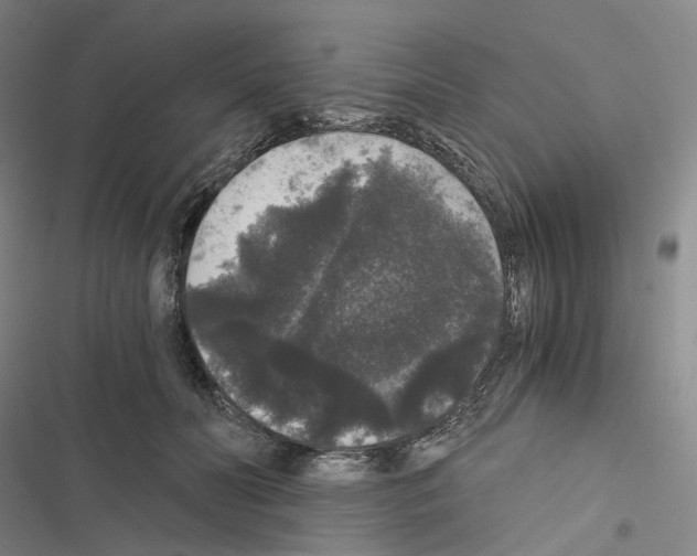 X0000116480606201001201344