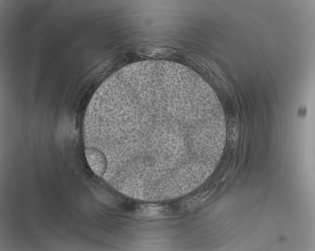 X0000116480607201001201344
