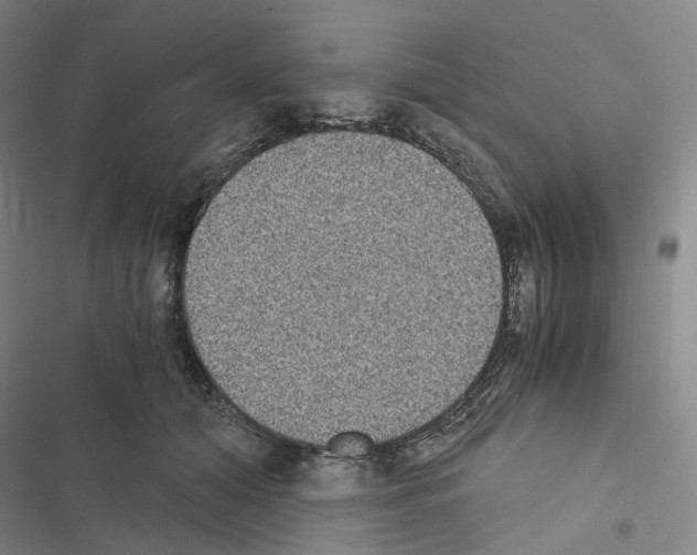 X0000116480608201001201344