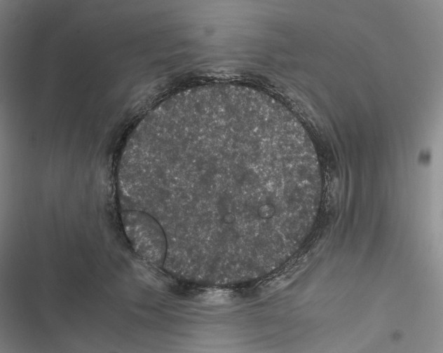 X0000116480609201001201344