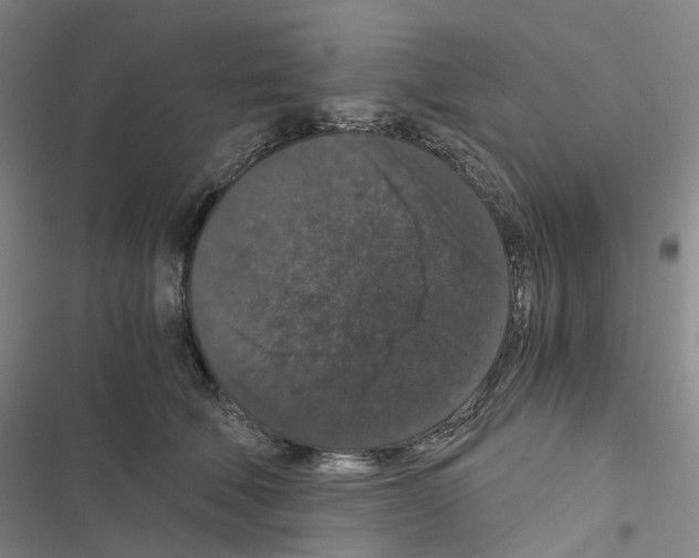 X0000116480610201001201344