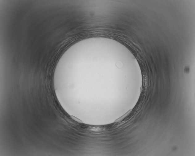 X0000116480611201001201344