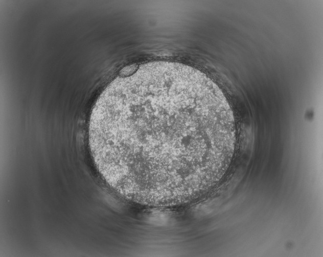 X0000116480612201001201344